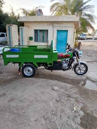 ستوت • موديل ٢٣ • عين التمر