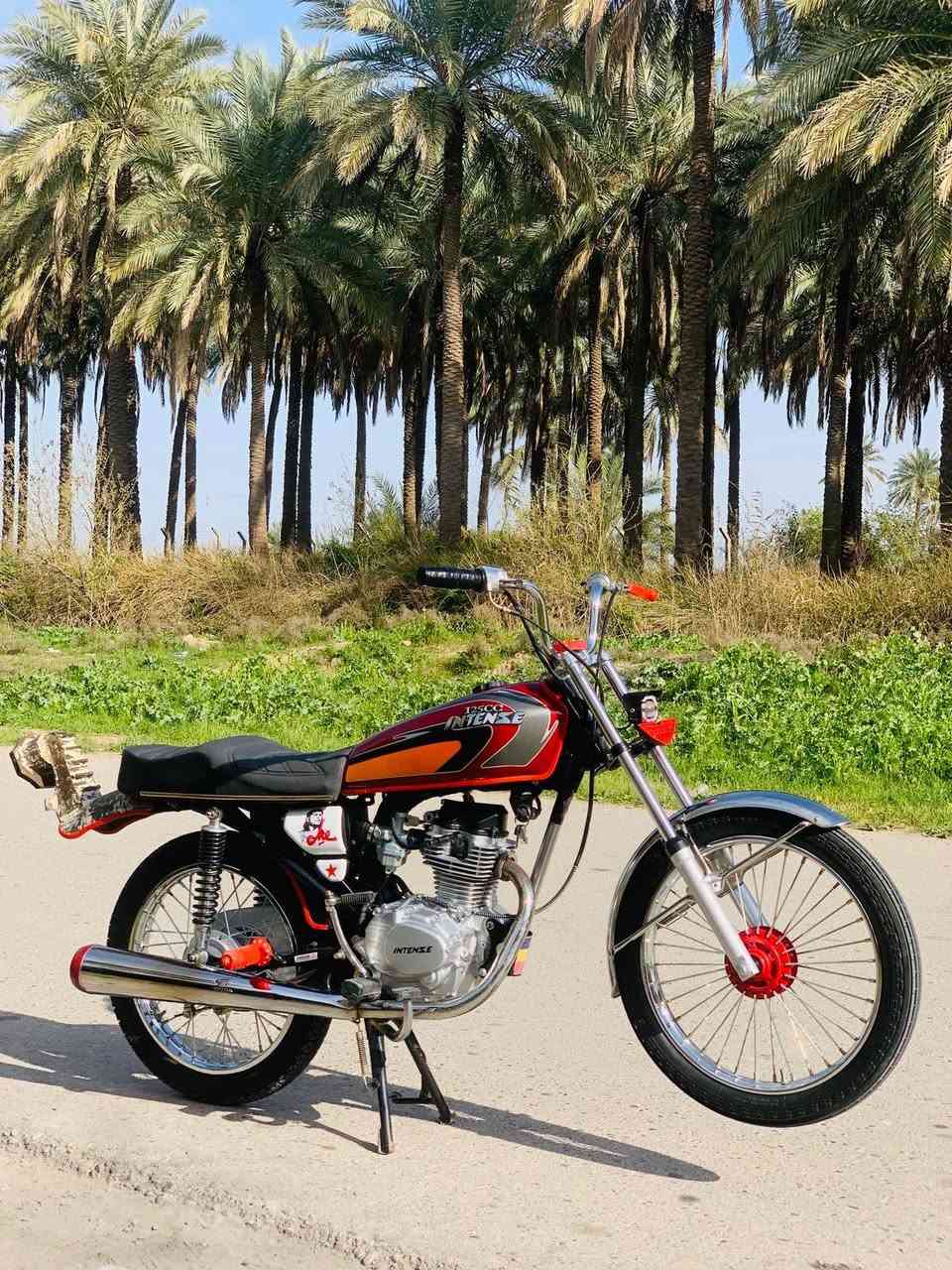 دراجه انتنس للبيع تعميره جديده 2025السعر750الف الخاص مفتوح 🔓المو شراي لايدوخني تحياتي للجميع ❤


**إذا كنت صاحب هذا الإعلان وتريد حذفه لأي سبب، رجاءا أرسل رسالة إلى الدعم الفني**