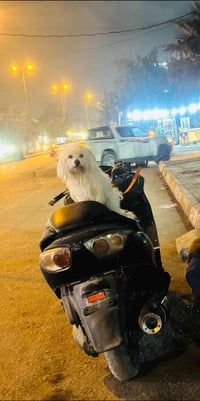 فوزه صفر 8 ميكنه حلوه لاتنقيص ولا تبخير شغاله بس متروكه كفراته شويه تع...