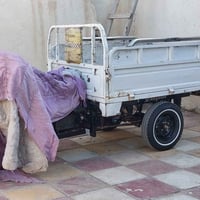 ستوته • موديل 20 • ناصريه مركز