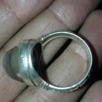 للبيع اربع محابس شلعه وحده 150الف يتفضل خاص او يتصل 07874295332