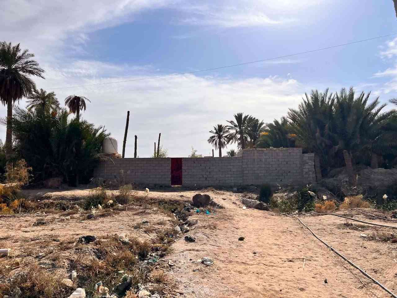 قطعة ارض زراعيه 1400م مسيجه المكان الناصريه ناحية الفضليه حي العرب الوجه 20م والنزال اكثر من 60م السعر 32 للاستفسار ***********
