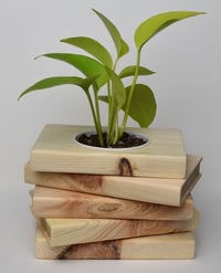 شلونها هاي التحفة💕 منو يريد منها  متوفر 🚴 لكل العراق  تفاصيل أكثر تفضل...