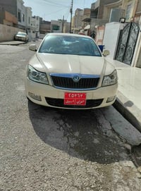 توماتيك • بلا صبغ • ٢٠١٣