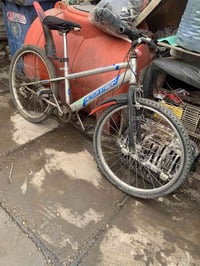 باسكل • حجم ٢٤ • بغداد