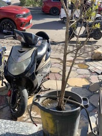 سكنس فحل للبيع الدراجه المكينه مفتوحه وبيها صوت تفيلس  مكاني بغداد الب...