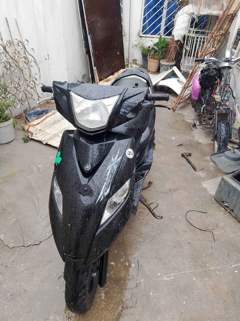 ثعلب بلادي.نوزل.اريد مراوي
***********
