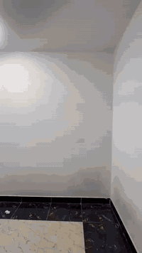 السلام عليكم  شقه للإيجار طابق ثاني تتكون من غرفه وصاله ومطبخ وصحيات مثل ما موضح بالفيديو المكان الحيدريه قرب جامع الزهراء اول شارع جهة السايدين انه مكلف بالنشر رقم صاحب الشقه ***********
