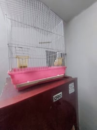 قفص بلبل طيور حب اي شي  السعر ١٥ الف ٠٧٧٠٥٣٩١٣٣٥ شهداء البياع