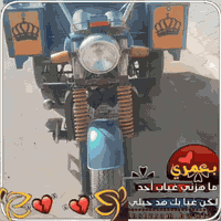 ستوتة • موديل ٢٠١٦ • كوت زورجات