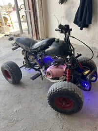 ماكس • رباعية • بوشه ٥٥