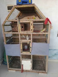 قفص خشب • مراوس • برج طيور