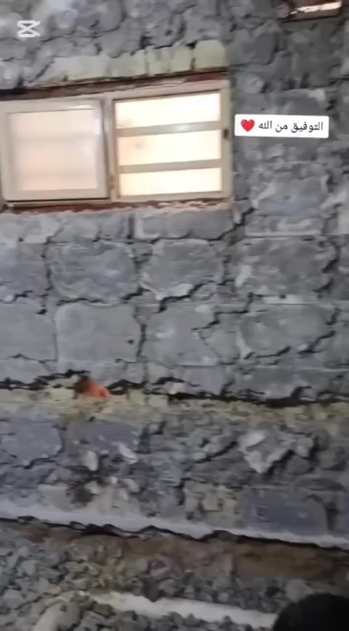 شغل سيراميك جداري ارضي ومن الله التوفيق 😍📞
***********
