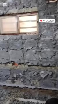 شغل سيراميك جداري ارضي ومن الله التوفيق 😍📞 07848647730