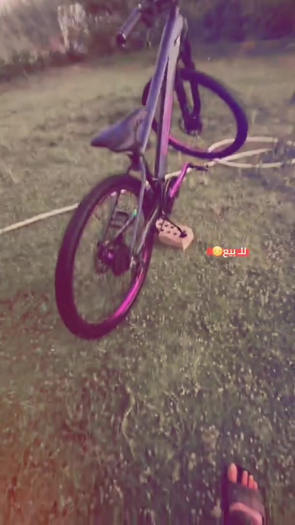 يولد ب90 وبي مجال


**إذا كنت صاحب هذا الإعلان وتريد حذفه لأي سبب، رجاءا أرسل رسالة إلى الدعم الفني**