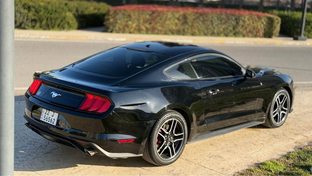 موستانج ايكو بوست ٢٠١٩
ماشي ٧٨ الف
محرك٢.٣ تيربو ٣١٠ حصان 🐎 بشرت ما مفتوح
حادث جاملغ صبوغ باب مبدل بلادي
ارباك بس تكمه
سنوية - رقم - فحس - هزة كل جديد
عنوان اربيل شارع ١٠٠
شركة ريبوار سالار صالح
***********
***********
*********** أربيل, العراق
