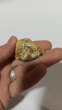 قطعة روحانية • رأس طير • سلطاني