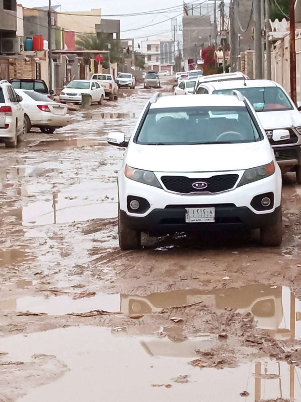 كيا سورناتو
سعر 129وبيها مجال الرقم ***********
خليجي 2013
ماشي150رقم بغداد 
مكيه 2400دوش
7راكاب 
كير محرك حداديه تخم تايرمكفولات 
تبريد تتفاء مكفولات 
بيها صبخ3قطع بدون ضرب
