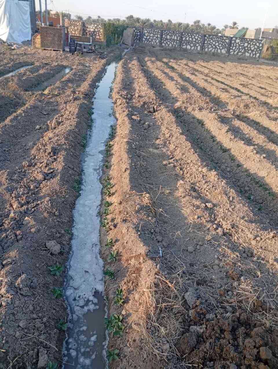 السلام عليكم قطعه ارض1000متر للبيع العنوان بابل منطقة الصياحيه يتوفر كل الخدمات تبعد عن الشارع 200متر جنس العقار طابو سند 25 ،،،،،،***********
