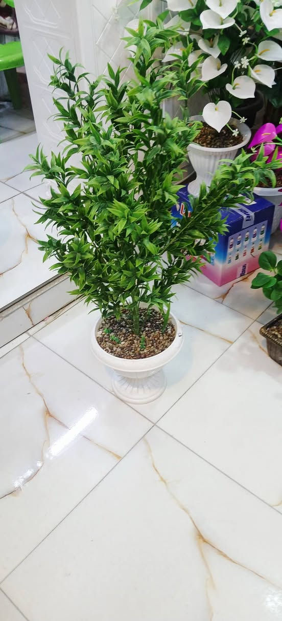 محاويل حي الجمهوري مجمع الرواد مقابل دكتور عامر مكطوف مجاور مجمع الياسمين


**إذا كنت صاحب هذا الإعلان وتريد حذفه لأي سبب، رجاءا أرسل رسالة إلى الدعم الفني**