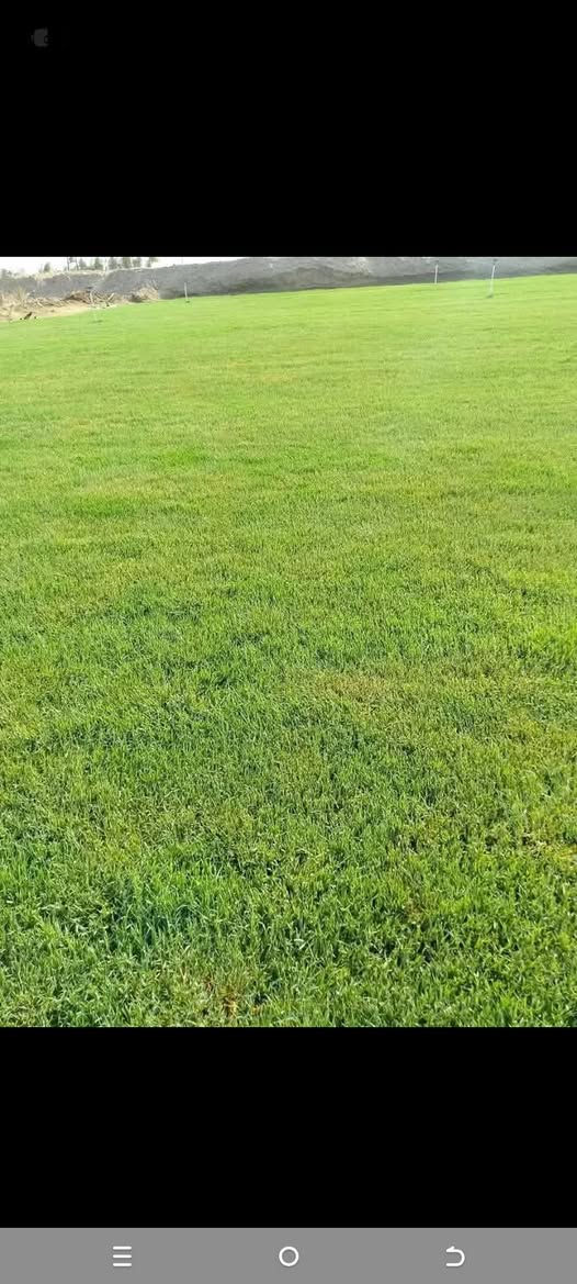 يوجد ثيل درجه اولا بنواعه.المختلفه🌿
تجهيز...👇
مشاتل🌴👇
دوائر حكوميه🏦👇
منازل🏡👇
منتزهات🏄👇
ارصفه.👈...يوجد توصيل في جميع المحافضات🌏وَبّڴمٌيـاتْ مٌٌختْلُفَهہ 
***********
