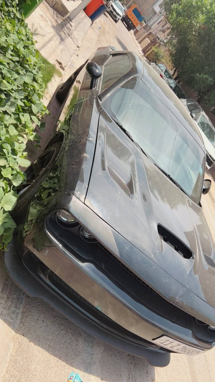 السلام عليكم من رخصة إدارة الكروب
السلام عليكم من رخصة إدارة الكروب
جالنجر موديل 2022  مكينة Rt 5700
صاروخ ارضي  ماشاءالله بالخير على الياخذها
حادثها بنيد وجاملغ  

ماشية 56 الف

كير ومكينة واكسل وصدر كلة على وضع الشركة

عليها برمجة وكزوز رياضي من امريكا تحكم فتح وسد تاسيس

شرط التحويل  ما ابيع اذا مو عقد مروري
عارضها 149  وماكو هيج سعر بموديلها
مكاني بغداد البنوك
***********
الشراي يتصل وبالخدمة واتساب موجود
