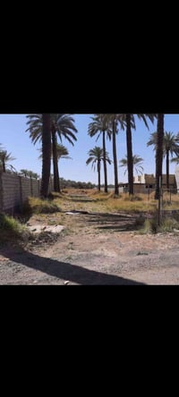 الفحامة • ٦٢٥م • واجهة ١٢
