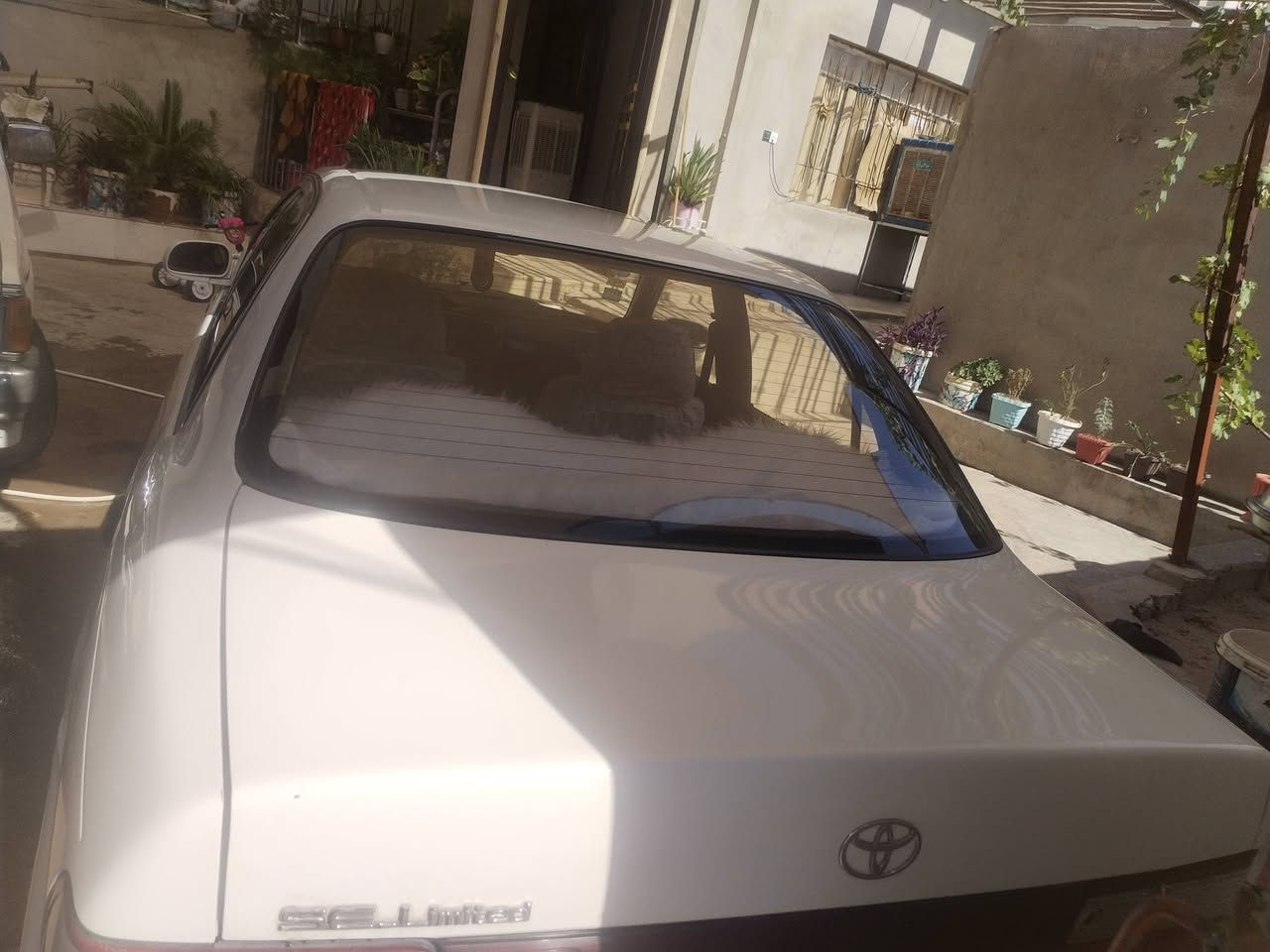 كورلا موديل 93 نينوئ انكليزي سنويا 2029 شرط تحويل محرك كير شرط صبغ قطعه وحده بدون دواخل طخم ورا وكدام جديد كهربايات كلها شرط طخم تيرت جدد ***********   *********** كورككلها بي واتساب مكان سياره موصل حي سماح
