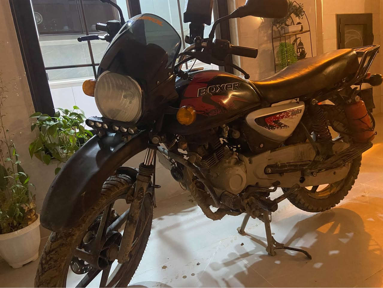 بؤكسير ٢٠٢٢ ره قه م دياله.به شه رتي به ناو كردن. مه كينه كه پس كامل جاهز دو تايه.نوي كارابايات مزبوت به  س سلف ليده ده ي داژؤي     
*********** أربيل, العراق
