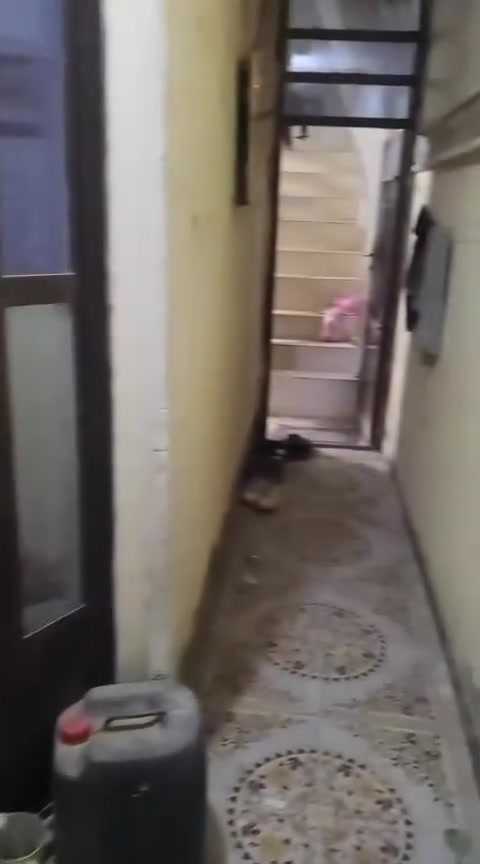 سلام عليكم بيت للبيع زراعي سند 25 بحي الحكيم طابقين كله بورسلين منطقه تبليط مي ومجاري البيت يحتوي على غرفتين نوم وصاله واستقبال وصحيان مساحت البيت 75متر  كابينة مولد يمه كابينة انترنيت يمه ***********
