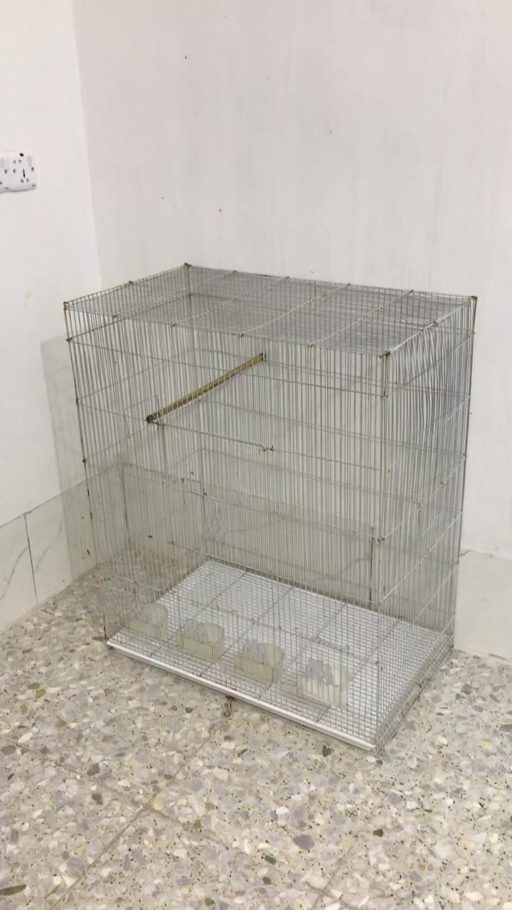 قفص حديد جبير ب ٢٥ الف نهايته مكاني الجريخي


**إذا كنت صاحب هذا الإعلان وتريد حذفه لأي سبب، رجاءا أرسل رسالة إلى الدعم الفني**