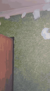 بغداد المدينه • صبغ وطلس • معالجة الرطوبة