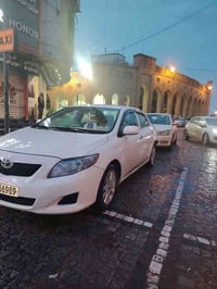 باربيل • اطلع على شركات • خدمات ميدانية