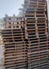 سكيب • جميع القياسات • عدد مفتوح