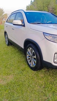 ٢٠١٥ • ٦ سلندر • ٧ راكب