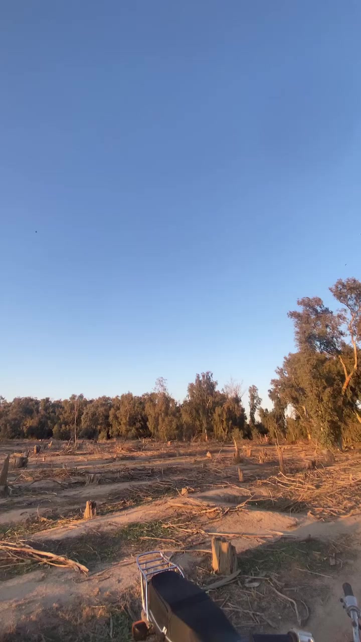 سلام وعليكم دراجه رابيدو  ٢٠٢٥ دراجه خير من الله شلعه ومعدل هاون دراجه بيهاً نقوصات ما يكلفن ١٠ الاف كهربايات كلها شغاله ويالى مابيهن عواج دراجه تفيلس ما مفيسله مكينه خرسه السعر ٥٧٥ وبيها مجال قليل مكاني ديالى كنعان  ‭٠٧٨٥ ٣٦٤ ٢٦٩٩‬ ومتواجد خاص ✅
