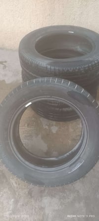 مراوس • تخم١٥ • تخم١٤