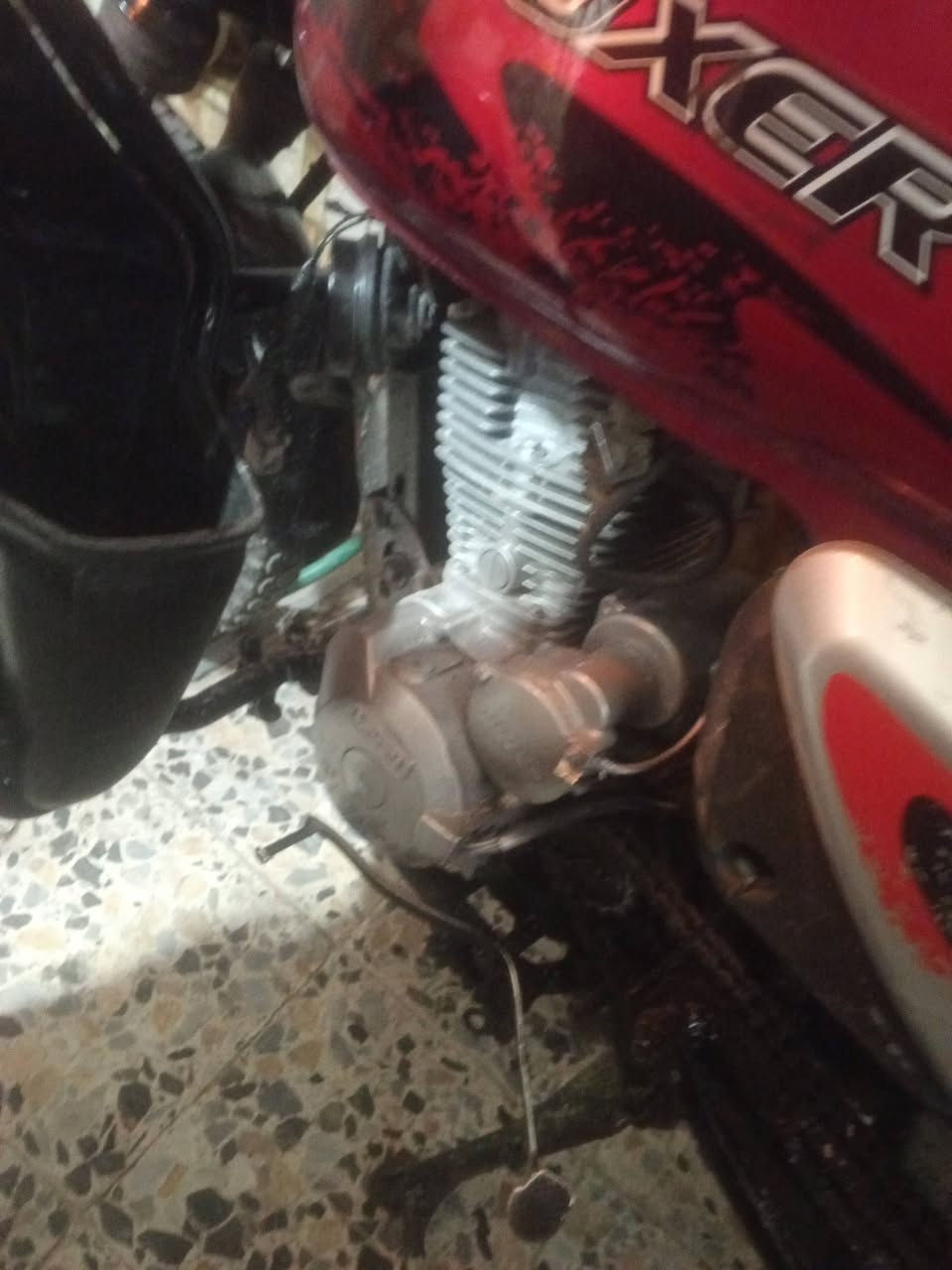 سلام عليكم دراجه بوكسر مكينه ايراني خير من الله كامله بريك امامي خلفي ضفيره دبلات اشاير لايت منضومه زنون 50الف بكلايت اشاير تانكي صفاحيات كشن دشبول طوافه بأنزين كل شي جديد دراجه مال شغل كبل طلع وبيها صندوك وسماعات سعر 600الف ***********
