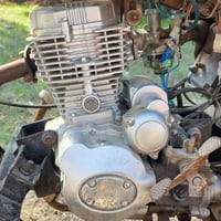 ستوته • للبيع • بيها مجال