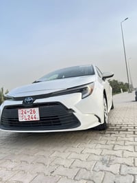 كورلا هايبرد • ٢٠٢٤ • كربلاء