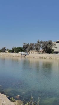 عطر ليل البنفسج • فواح • محل الثقلين