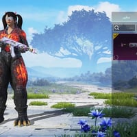 حساب بوبجي • تطور 14 • ولف 66