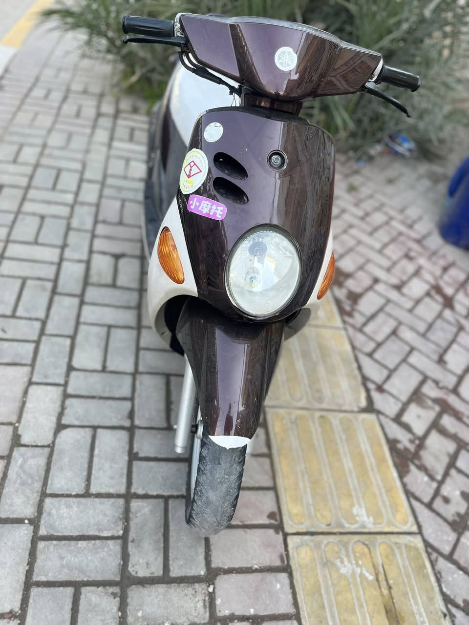 سلام عليكم دارجه فله دراجه زيرو ما مفتوحه لا نضوح لا تبخير نكره سله كل لوقات السعر 900وبهة مجال حك لجيه العنوان بغداد مدينه لصدر لستفسار ***********
