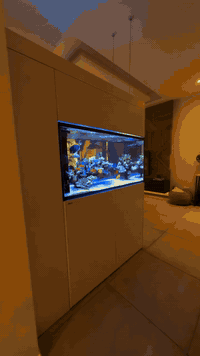 الامزون لعمل احواض اسماك الزينة العملاقة ‏‎✨البحري والنهري✨ مزيج بين ا...