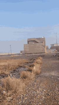 كنعان البدعه • ١٥٠م • طابو زراعي