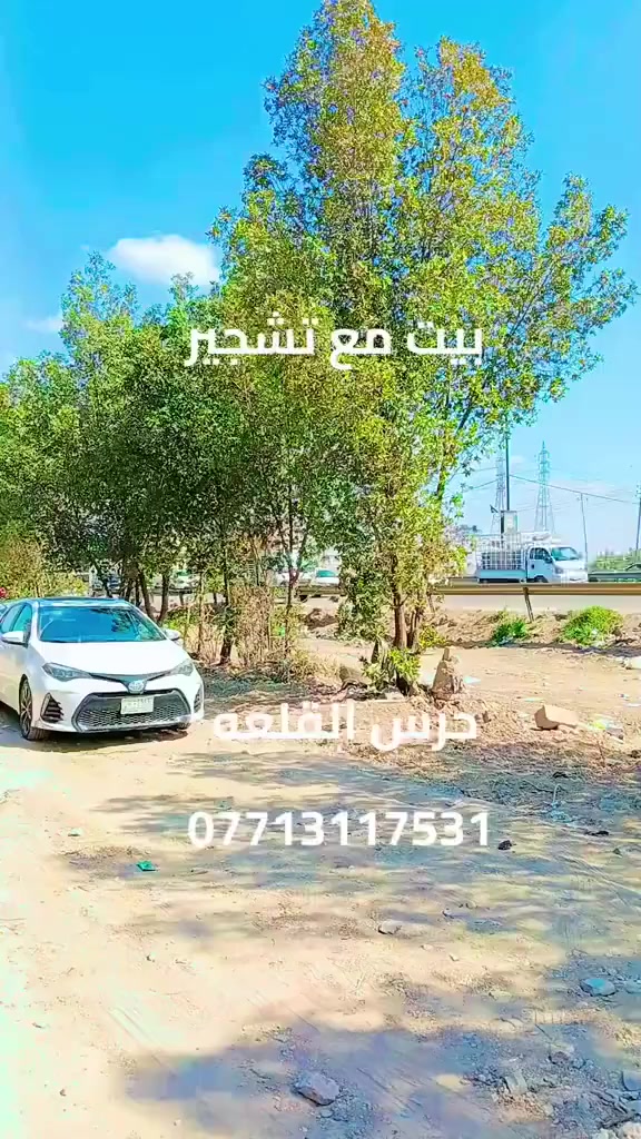 #بيت#دوره#ملك صرف #تشجير #مكتب#حرس#القلعه
***********
