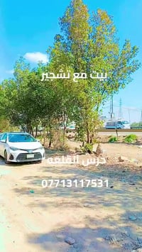 #بيت#دوره#ملك صرف #تشجير #مكتب#حرس#القلعه 07713117531