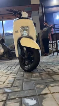 بوليسي • ٢٠١٥ • نوزل