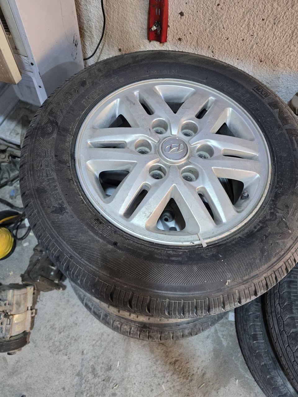 للبيع زوج ويلات 17وزوج 16 دبلو عنوان بصرهابوالخصيب ***********
