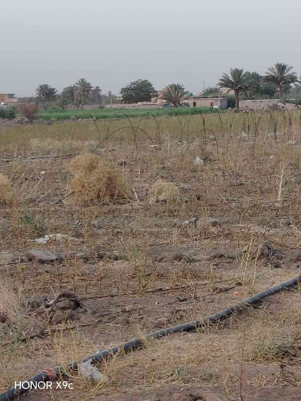 السلام عليكم ارض زراعية سند25 للبيع مساحتها ثلاث دوانم ونصف والأرض بدايتها تبليط يتوفر فيها ككل الخدمات من ماء وكهرباء وقريبة جدا على مدرستين ابتدائية ومتوسطة وعدادية وسعر الدونم 60مليون وقابل للتفاوض والمكان بغداد سبع البور منطقة المصالحة والطجاج والاستفسار الاتصال على الارقام أو مراسلتنا على هذه الصفحة ***********.......***********

